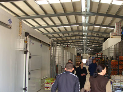 Euro Panel M.F1424943395 Euro Panel M.F1424943395